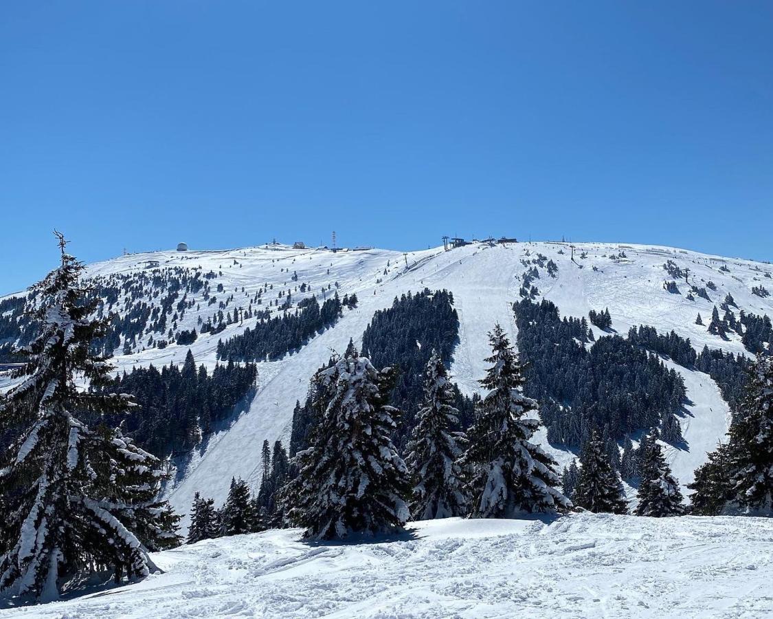 Ski&Spa Milmari L17 Kopaonik Exterior foto